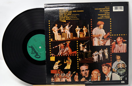 Beach Boys - Concert