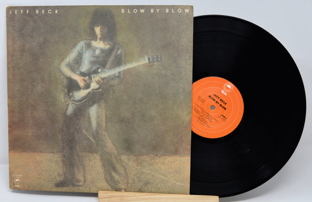 Vinyl record with a cover featuring an illustration of a person playing guitar, on a light gray background.