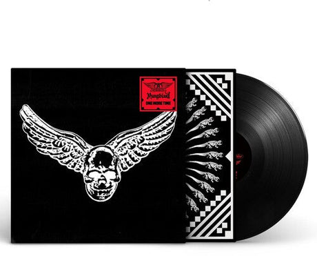 Limited edition Blink-182 One More Time vinyl record with winged skull cover art