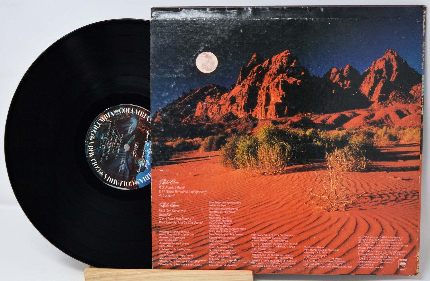 Vinyl record with a desert landscape design on the cover