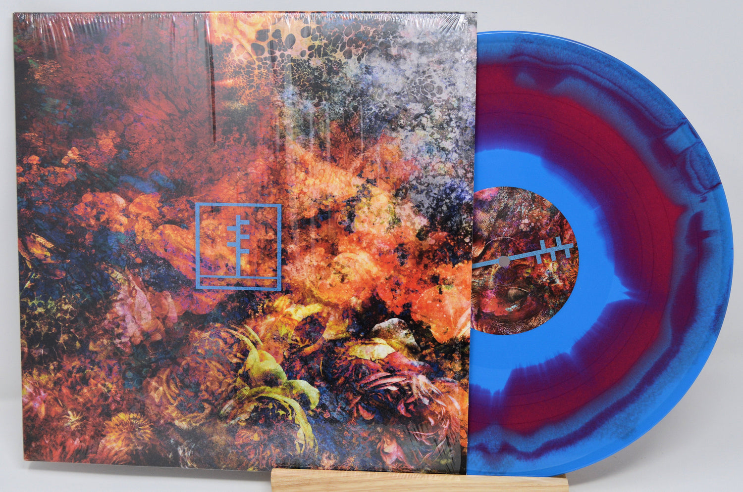 Floral-themed marbled blue and red vinyl LP with striking cover art and unique band symbol