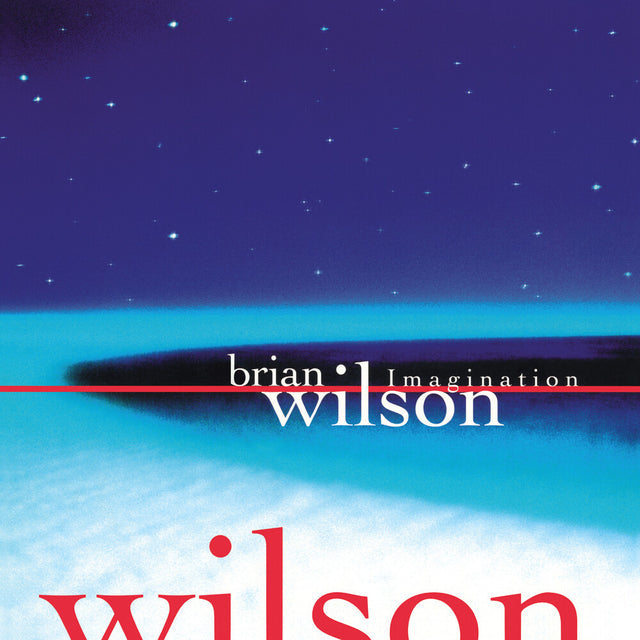 Album cover with 'Imagination' and ' Brian Wilson' text against a starry night sky and water landscape.