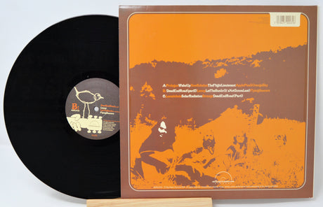Back cover and vinyl record of Brimstone Solar Radiation Band LP with vintage orange graphics