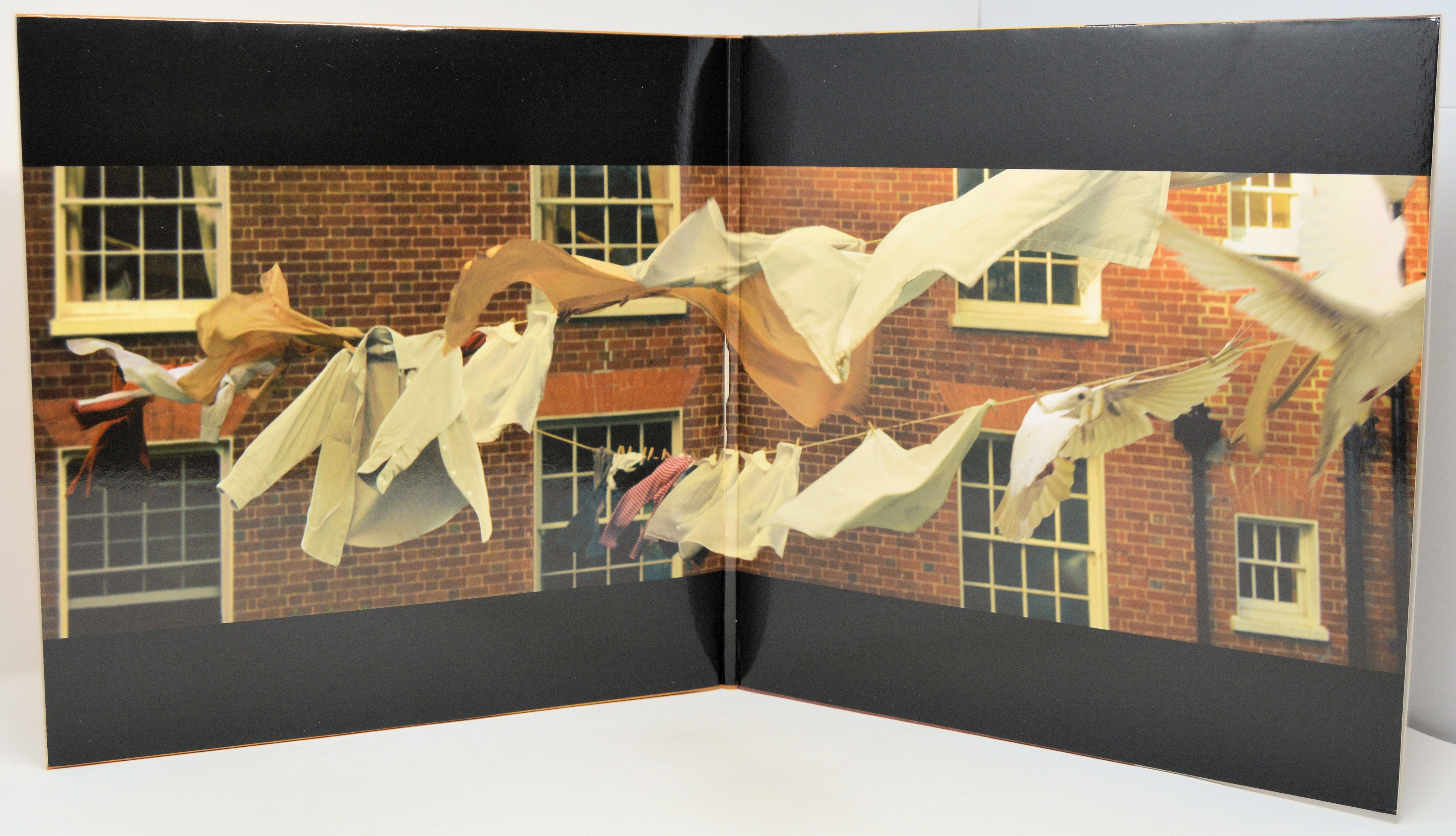 Kate Bush - Aerial, Vinyl Record Album 2LP, Fish People – Joe's Albums