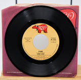 Cara, Irene - Fame