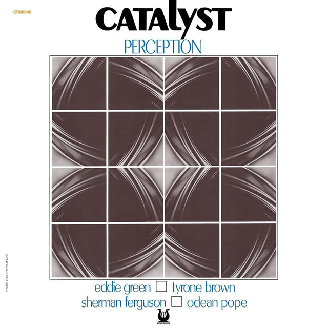 Front cover of Catalyst Perception album with abstract square design and musician names