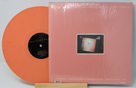 Chastity Belt - I Used To Spend So Much Time Alone