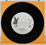 Black vinyl record with a butterfly design on an orange sleeve against a white background