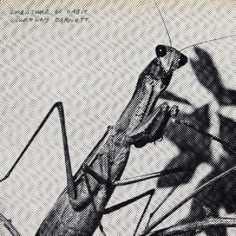 Black and white illustration of a praying mantis on a branch with a grid background.