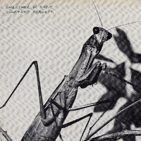 Black and white illustration of a praying mantis on a branch with a grid background.