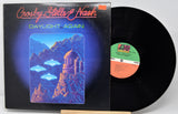 Vinyl record with cover featuring a mountain landscape and 'Daylight Again' album text.