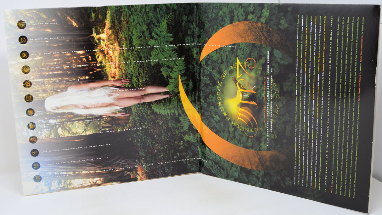 A Perfect Circle - Thirteenth Step