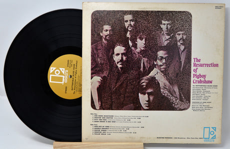 Butterfield Blues Band - Resurrection of Pigboy