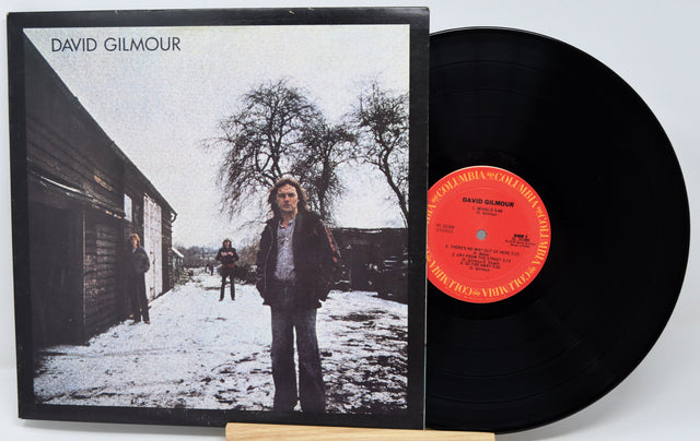 Vinyl record with cover featuring a person standing in a snowy landscape, with 'David Gilmour' on the cover.