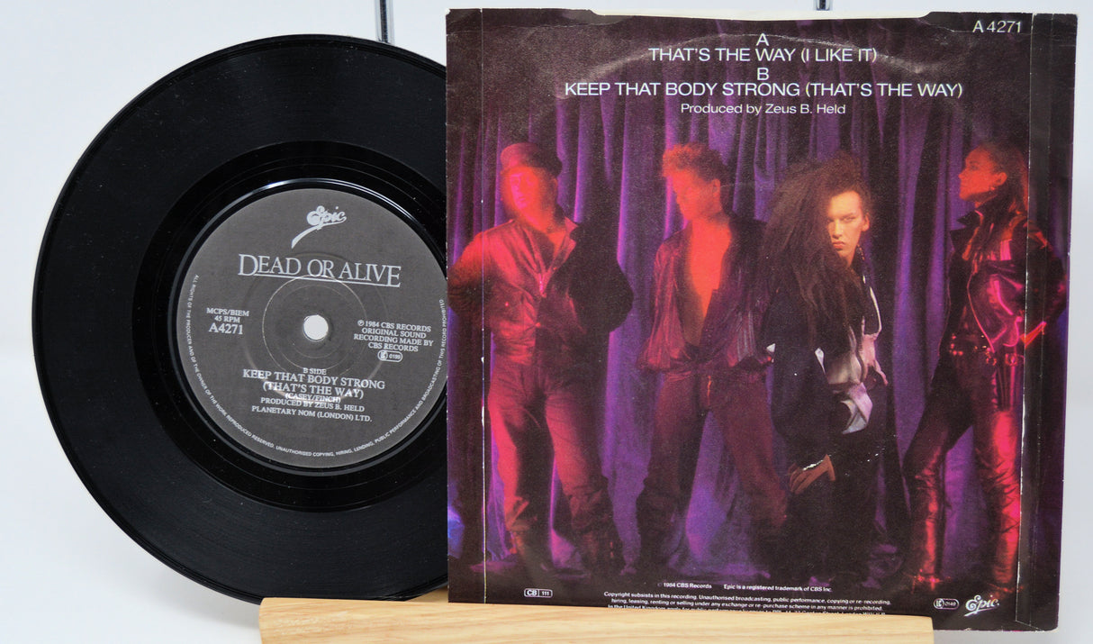 Dead Or Alive – That's The Way (I Like It)