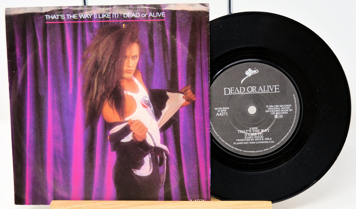 Dead Or Alive – That's The Way (I Like It)