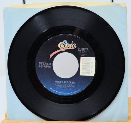 Dead Or Alive – You Spin Me Round