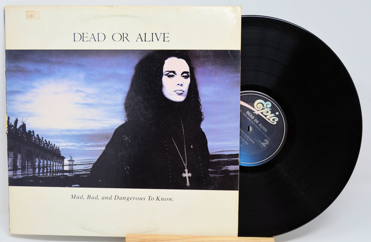 Dead Or Alive - Mad, Bad And Dangerous To Know