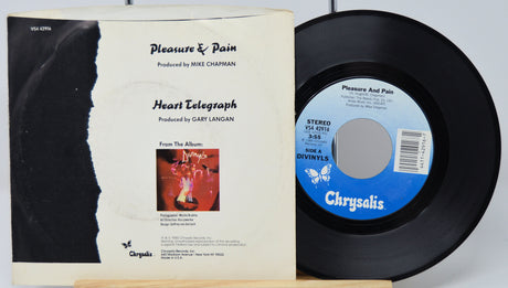 Divinyls - Pleasure & Pain