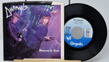 Divinyls - Pleasure & Pain
