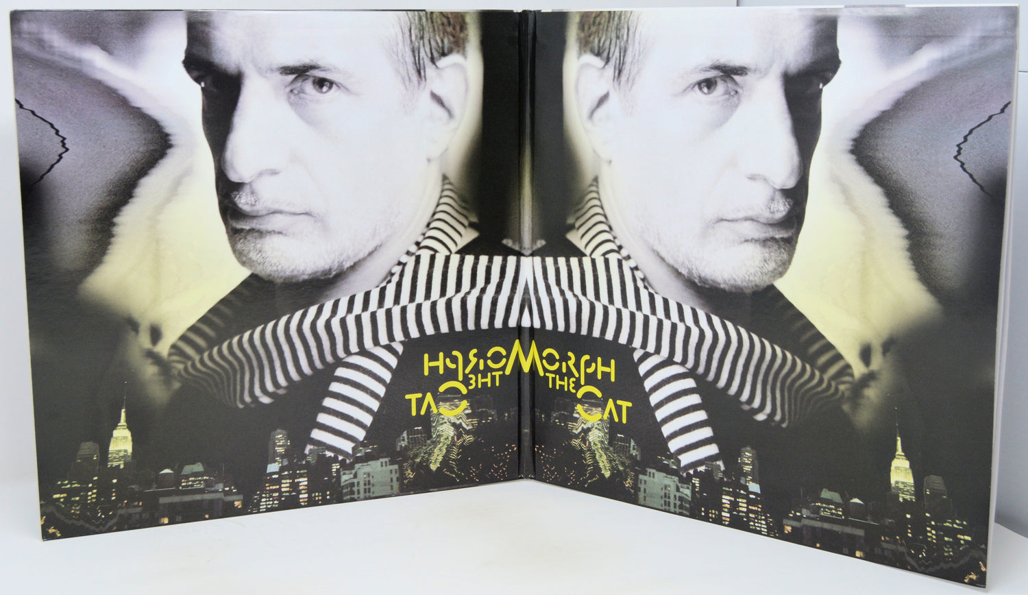 A folded book or album cover featuring a black-and-white portrait of a man wearing a striped shirt, with a city skyline at the bottom and the title 'How to Become the Cat' in yellow text.