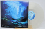 Donald Fagen's 'Sunken Condos' vinyl record album, featuring a square illustrated cover with an underwater scene and a translucent clear record partially pulled from the sleeve, displayed on a small wooden stand against a white background.