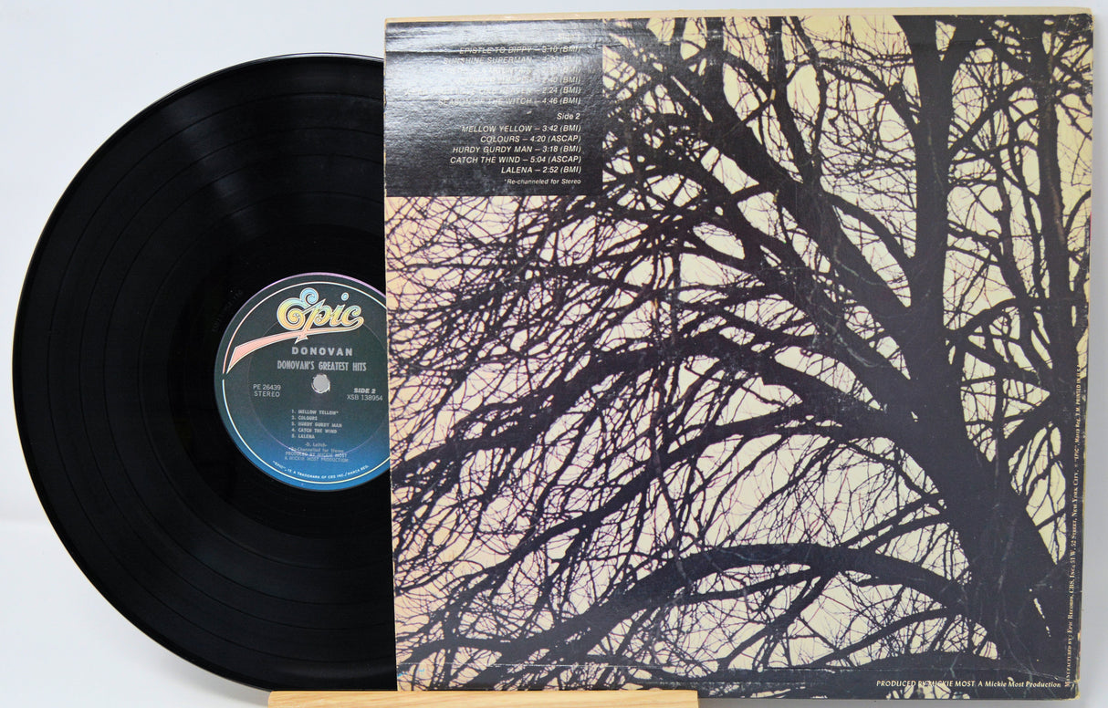 Vinyl record with a tree branch design on the cover