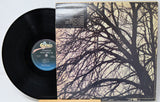 Vinyl record with a tree branch design on the cover