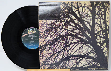 Vinyl record with a tree branch design on the cover