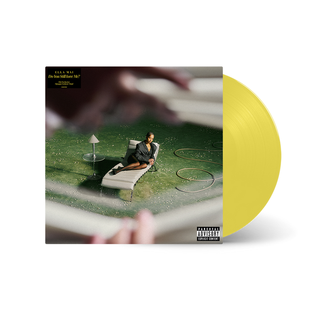 Vinyl record with a person lounging on a grassy area, surrounded by water.