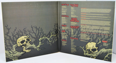Inner gatefold of Energy Invasions of the Mind vinyl with lyrics and skull artwork