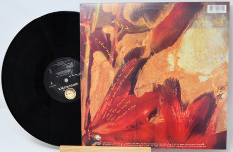 Vinyl record with a colorful cover featuring abstract art.