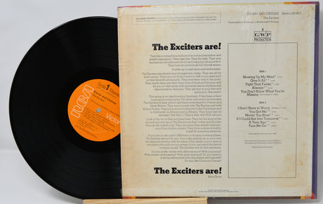 Vinyl record with text on the back cover on a light gray background
