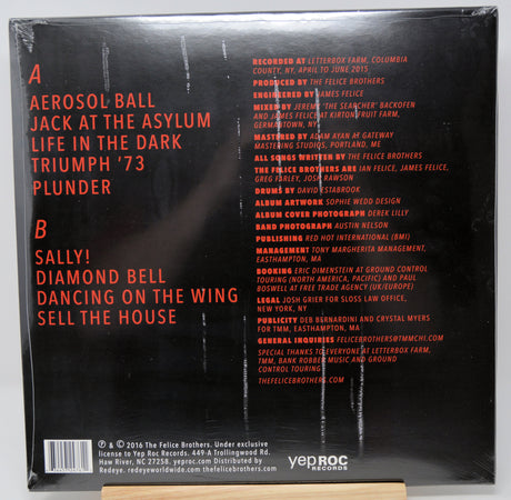 Felice Brothers - Life In The Dark