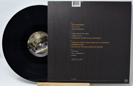 Foo Fighters - Wasting Light