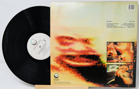 Gabriel, Peter - Security