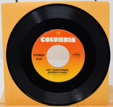 Garfunkel, Art - Wooden Planes