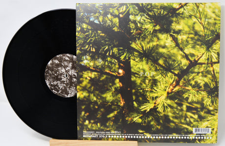 Vinyl record with a tree-themed cover on a white background