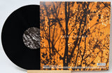 Vinyl record with colorful cover and label on a white background