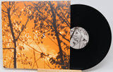 Vinyl record with orange cover featuring tree silhouettes and 'GAS' text.