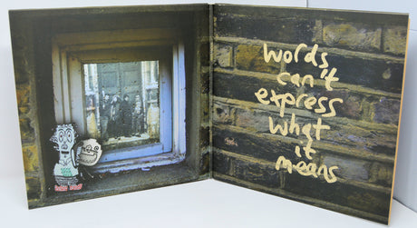 Guillemots - Through The Windowpane
