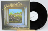 Guillemots - Through The Windowpane