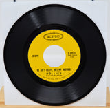 Hollies - He Ain't Heavy, He's My Brother