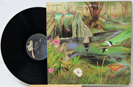 Vinyl record with a colorful nature-themed cover