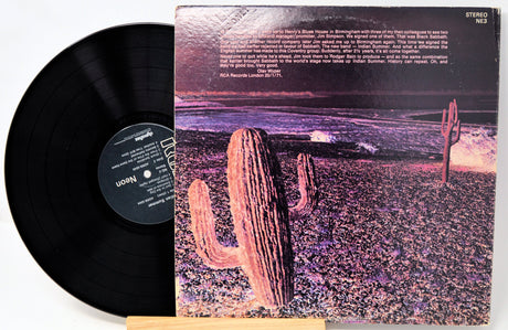 Back cover of Indian Summer vinyl with stylized cactus artwork and record partially shown