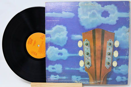 Vinyl record with a blue album cover featuring a guitar headstock against a cloudy sky.