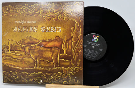 James Gang's 'Night Stands' vinyl record LP, showing the illustrated brown and gold album cover next to the black vinyl record on a light gray background.