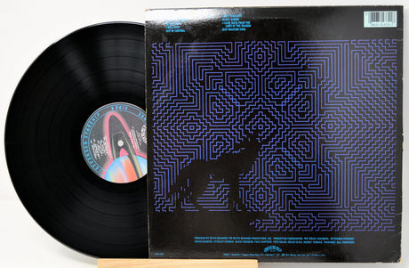 Vinyl record with a detailed cover featuring a maze design.