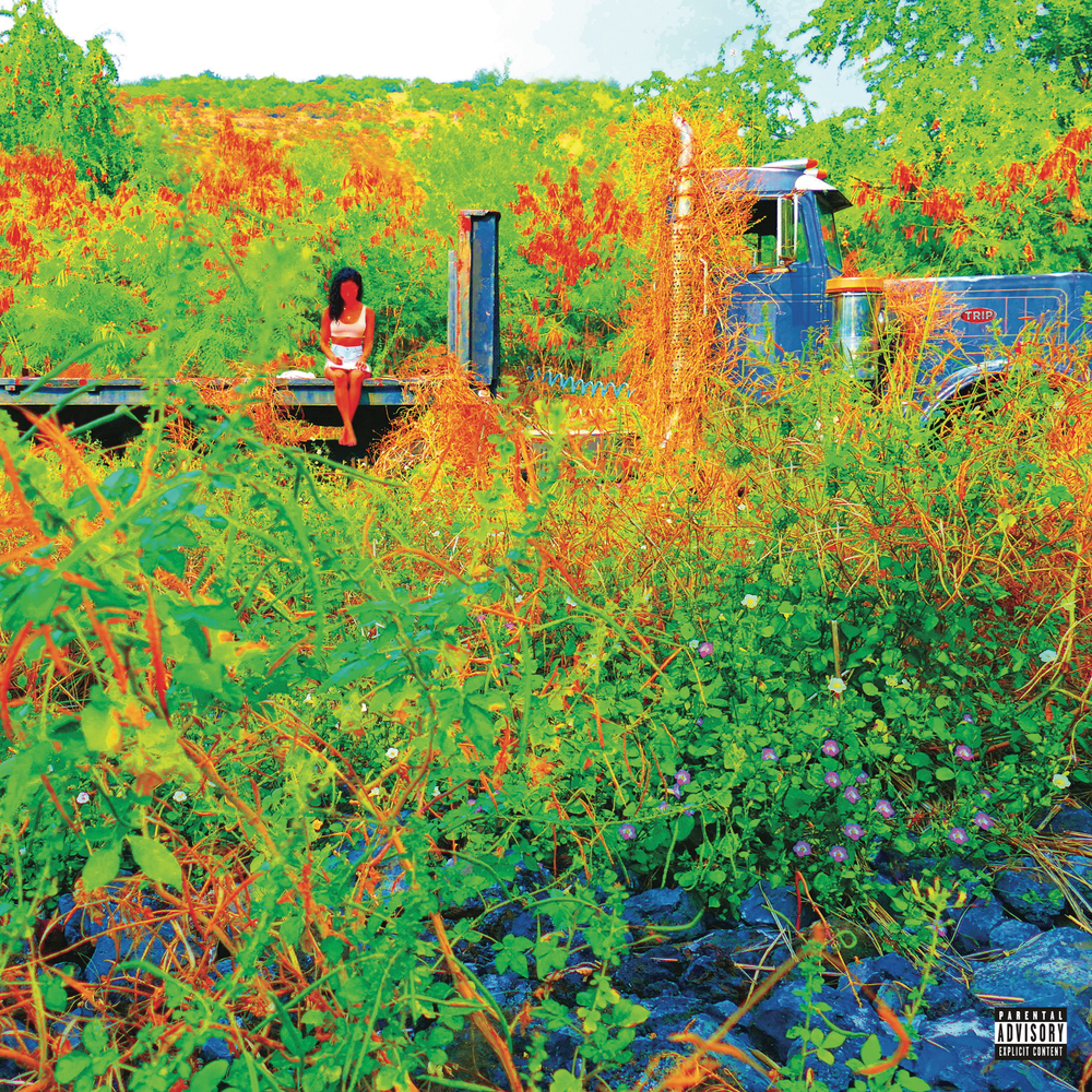 Vinyl record cover with a painting of a person sitting on a truck in a field with orange and green plants