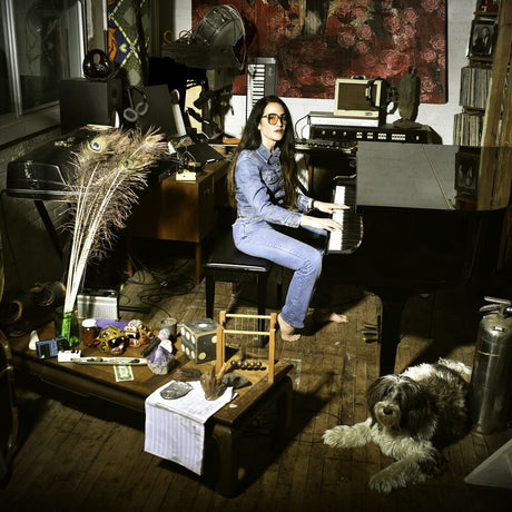 Person playing a piano in a room with various objects and a dog.